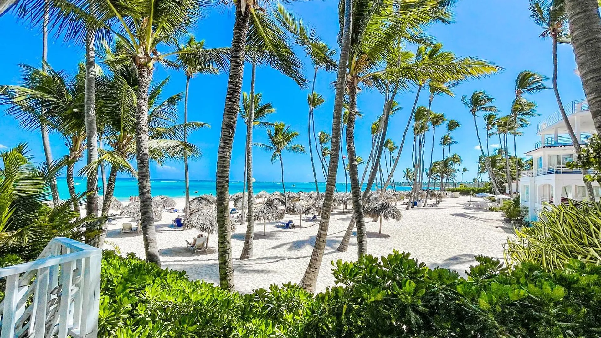 Rooftop Pool Hotel Suites Studios Dukassi Sol Caribe Beach Bavaro Club & Spa Punta Cana