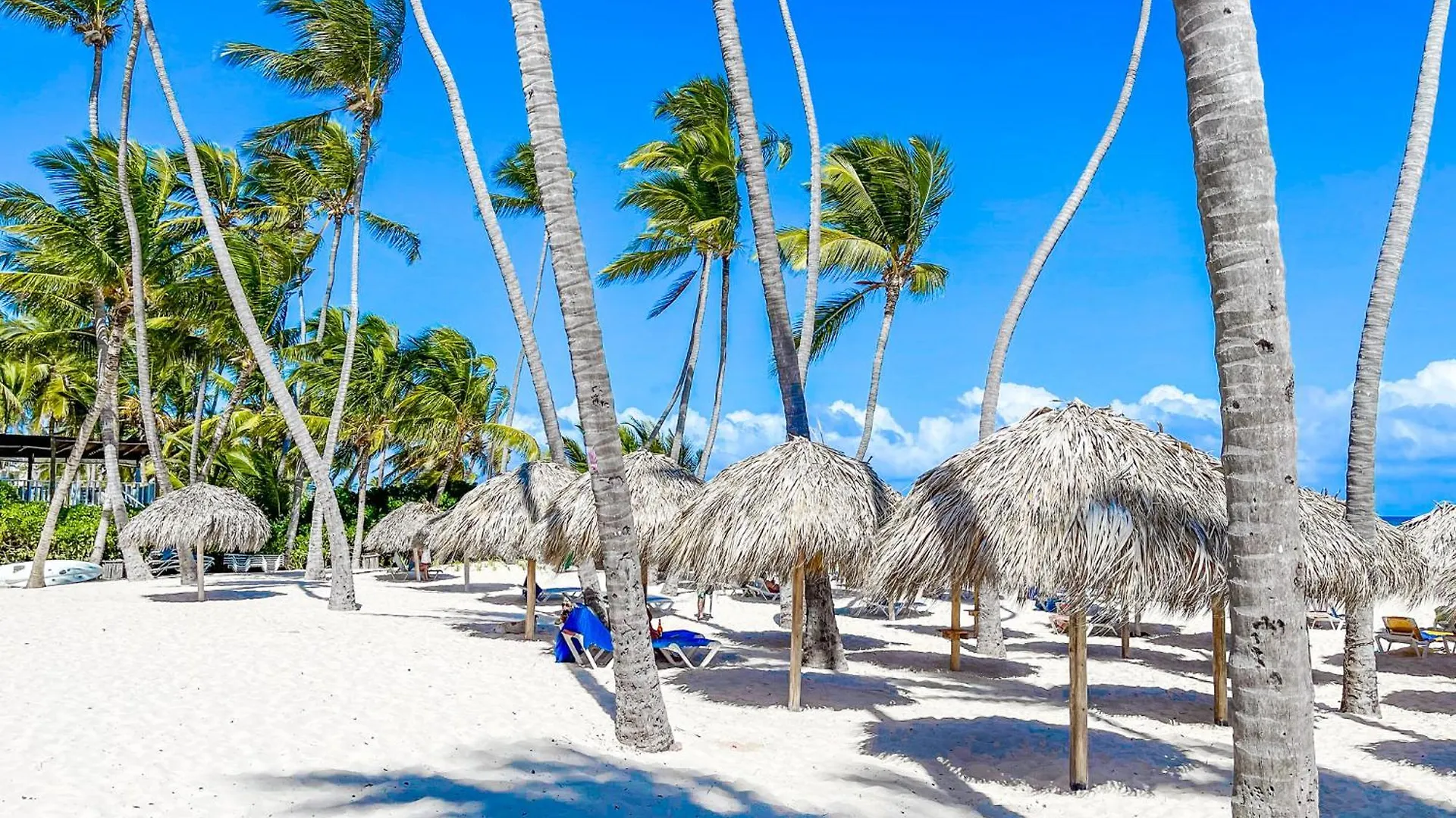 Rooftop Pool Hotel Suites Studios Dukassi Sol Caribe Beach Bavaro Club & Spa Punta Cana República Dominicana